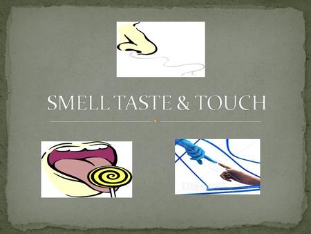 INVESTIGATE THE SMELL ABCD LEMON JUICE VANILLA ESSENCE VINEGERNAIL POLISH REMOVER E WATER.