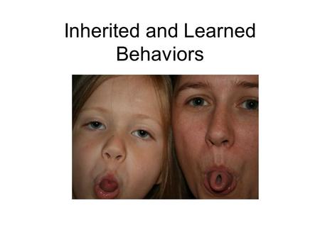 Inherited and Learned Behaviors