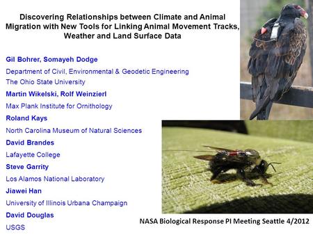 Discovering Relationships between Climate and Animal Migration with New Tools for Linking Animal Movement Tracks, Weather and Land Surface Data Gil Bohrer,