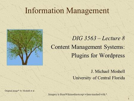 1 Information Management DIG 3563 – Lecture 8 Content Management Systems: Plugins for Wordpress J. Michael Moshell University of Central Florida Original.