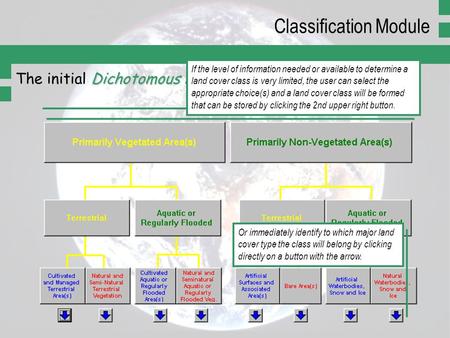 Dichotomous Phase The initial Dichotomous Phase of LCCS Classification Module Click one option of each pair of buttons. Or immediately identify to which.