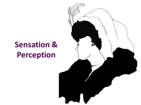 Sensation & Perception