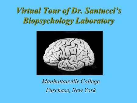 Virtual Tour of Dr. Santucci’s Biopsychology Laboratory Manhattanville College Purchase, New York.