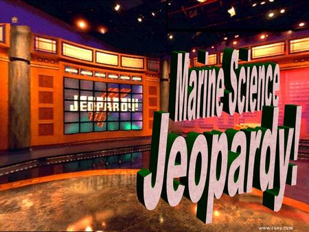 Marine Environment Jeopardy 100 200 100 200 300 400 500 300 400 500 100 200 300 400 500 100 200 300 400 500 100 200 300 400 500 Web of LifeLet’s name.