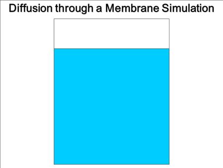 Diffusion through a Membrane Simulation