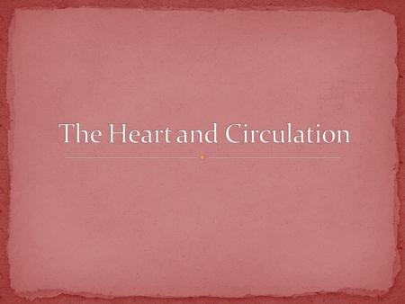 What is the circulatory system’s job? Carries needed substances to cells Carries waste products away from cells.