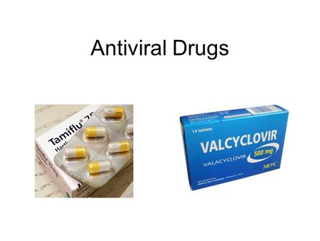 Antiviral Drugs. General Characteristics of Viruses Depending on one's viewpoint, viruses may be regarded as exceptionally complex aggregations of nonliving.