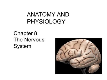 ANATOMY AND PHYSIOLOGY