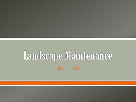 Landscape Maintenance