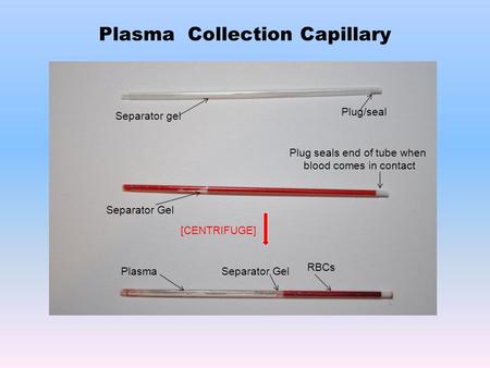 Plasma Collection Capillary Plug/seal Separator Gel PlasmaSeparator Gel RBCs [CENTRIFUGE] Plug seals end of tube when blood comes in contact Separator.