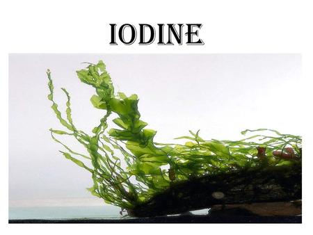 IODINE.