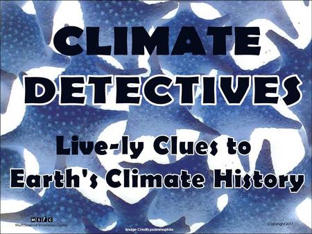 Copyright 2011 Image Credit: psammophile. Copyright 2011 It would be hard to miss all the recent news about global climate change, unless maybe you were.