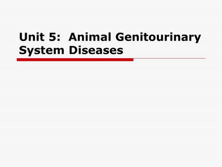 Unit 5: Animal Genitourinary System Diseases.  Unit 5 Objectives: Knowledge of animal diseases associated with the reproductive and urinary tracts Understanding.