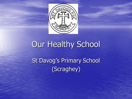 Our Healthy School St Davog’s Primary School (Scraghey)