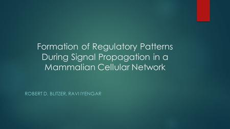 Formation of Regulatory Patterns During Signal Propagation in a Mammalian Cellular Network ROBERT D. BLITZER, RAVI IYENGAR.