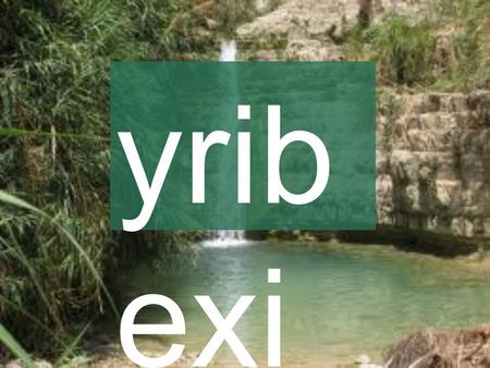 Yribexi.