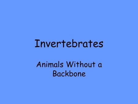 Invertebrates Animals Without a Backbone. Starfish (Echinoderm) They live in the ocean. They have 5 or 6 arms. Their arms or spines come out from the.