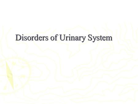 Disorders of Urinary System. ORGANS THAT CONSTITUTE THE URINARY SYSTEM????? Kidneys Ureters Urinary bladder Urethra.