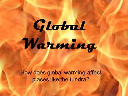 Global Warming How does global warming affect places like the tundra?