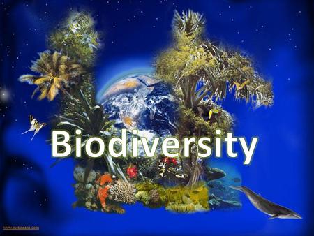 Biodiversity www.justmeans.com.