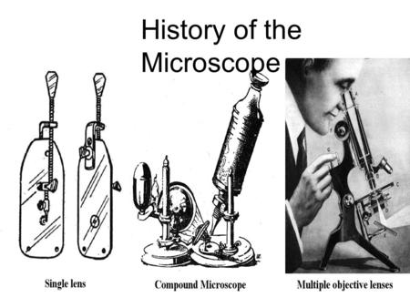 History of the Microscope