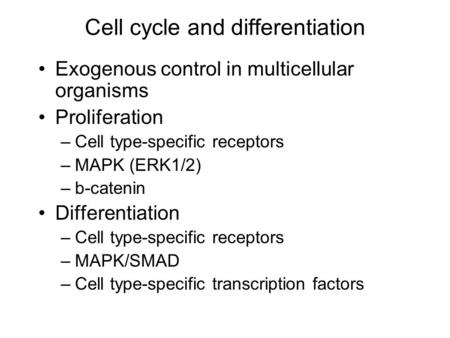 Cell cycle and differentiation