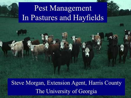 Pest Management In Pastures and Hayfields Steve Morgan, Extension Agent, Harris County The University of Georgia.