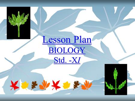 Lesson Plan BIOLOGY Std. -XI