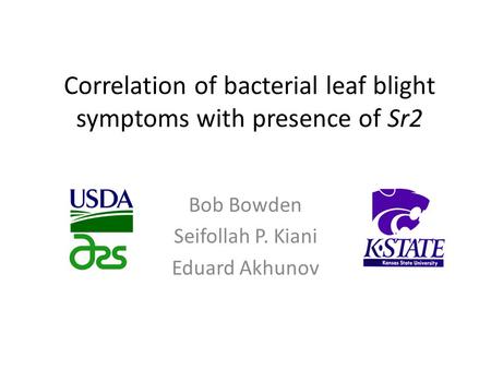 Correlation of bacterial leaf blight symptoms with presence of Sr2 Bob Bowden Seifollah P. Kiani Eduard Akhunov.