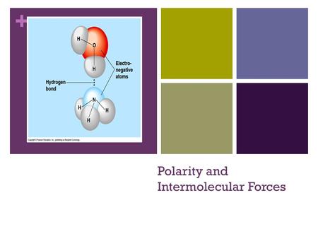 + Polarity and Intermolecular Forces. + Types of bonds Ionic – transfer of e- from one atom to another Covalent - sharing of e- between atoms a) nonpolar.