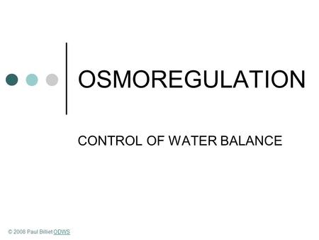 OSMOREGULATION CONTROL OF WATER BALANCE © 2008 Paul Billiet ODWSODWS.