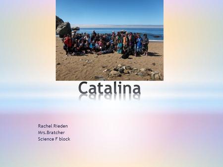 Rachel Rieden Mrs.Bratcher Science F block. Bat Ray Eel Garibaldi Laura Sumac Lemonade plant Cheese weed Waves Mountains Tides Open minded Courage Risk.