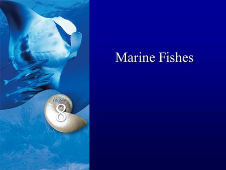 Marine Fishes.