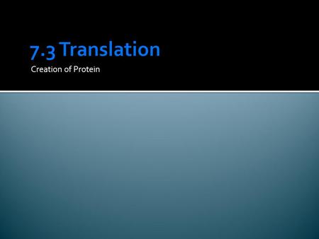 Creation of Protein.  Once the mRNA leaves the nucleus it enters the cytoplasm  Ribosomes form around the mRNA  mRNA is fed through the Ribosome and.