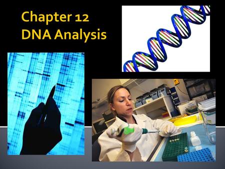  Identify individuals from unique genetic code  In every nucleated cell in the human body  Can be extracted from blood, semen, urine, bone, hair follicles,