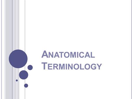 Anatomical Terminology