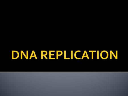  E. coli was the subject of the study  OriC is the start of replication  Terminus is the end of replication.