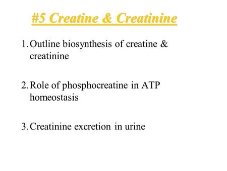 #5 Creatine & Creatinine