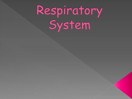  Otorhinolaryngology - branch of medicine that deals with the ears, nose and throat  Pulmonologist – specialist in the diagnosis and treatment of lung.