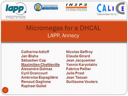 Micromegas for a DHCAL LAPP, Annecy Catherine Adloff Jan Blaha Sébastien Cap Maximilien Chefdeville Alexandre Dalmaz Cyril Drancourt Ambroise Espagilière.