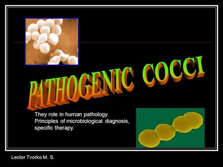 Lector Tvorko M. S. They role in human pathology. Principles of microbiological diagnosis, specific therapy.