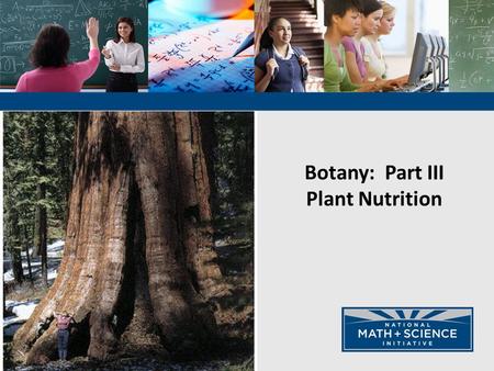 Botany: Part III Plant Nutrition. Figure 36.2-1 H 2 O and minerals H2OH2O Plant Nutrition and Transport Water and minerals in the soil are absorbed by.