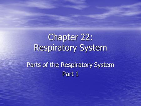 Chapter 22: Respiratory System