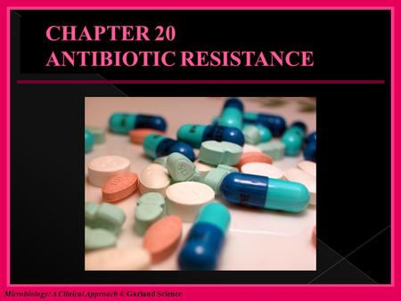 CHAPTER 20 ANTIBIOTIC RESISTANCE