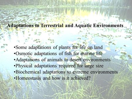 Adaptations to Terrestrial and Aquatic Environments