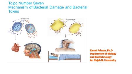 Toipc Number Seven Mechanism of Bacterial Damage and Bacterial Toxins