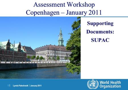 Assessment Workshop Copenhagen – January 2011