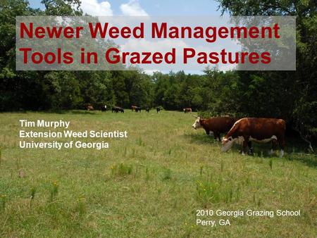 1 Tim Murphy Extension Weed Scientist University of Georgia Newer Weed Management Tools in Grazed Pastures 2010 Georgia Grazing School Perry, GA.