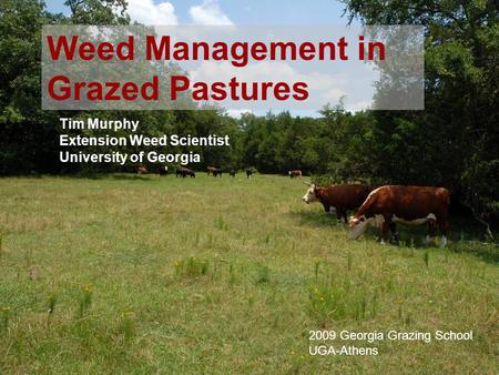 1 Tim Murphy Extension Weed Scientist University of Georgia Weed Management in Grazed Pastures 2009 Georgia Grazing School UGA-Athens.