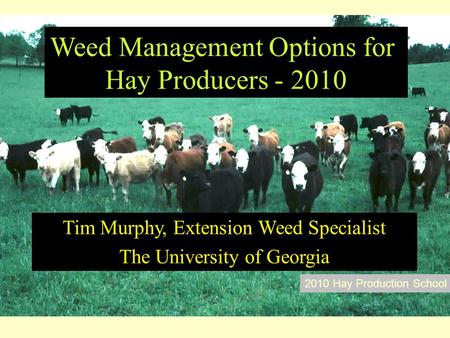 Weed Management Options for Hay Producers - 2010 Tim Murphy, Extension Weed Specialist The University of Georgia 2010 Hay Production School.